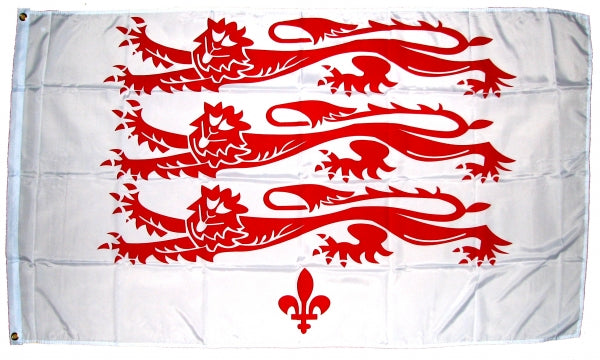 Dorset Fahne / Flagge 90x150 cm