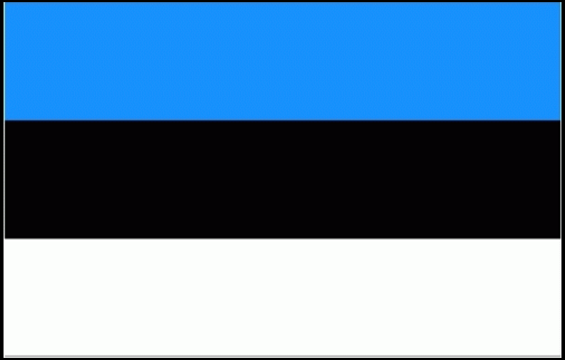 Estland Fahne / Flagge 90x150 cm
