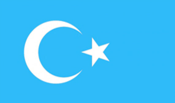 Ostturkestan Fahne / Flagge 90x150 cm