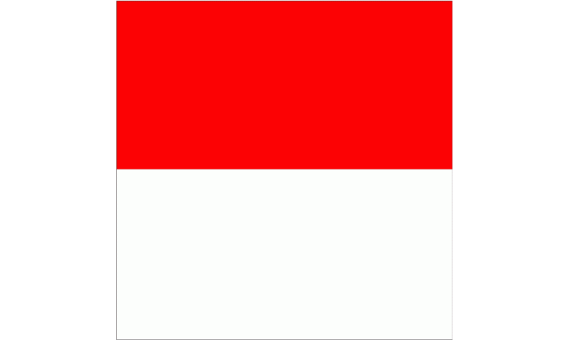 Kanton Solothurn Fahne / Flagge 120x120 cm