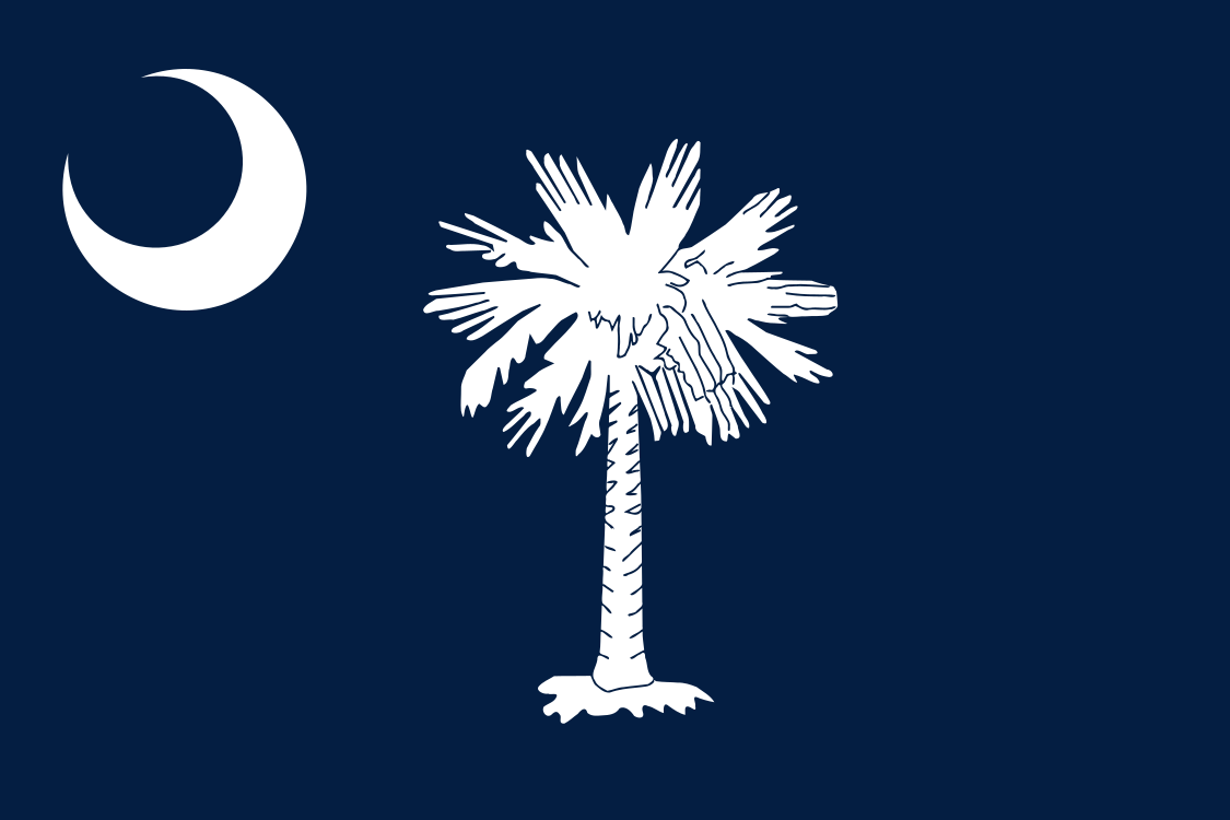 South Carolina Fahne / Flagge 90x150 cm