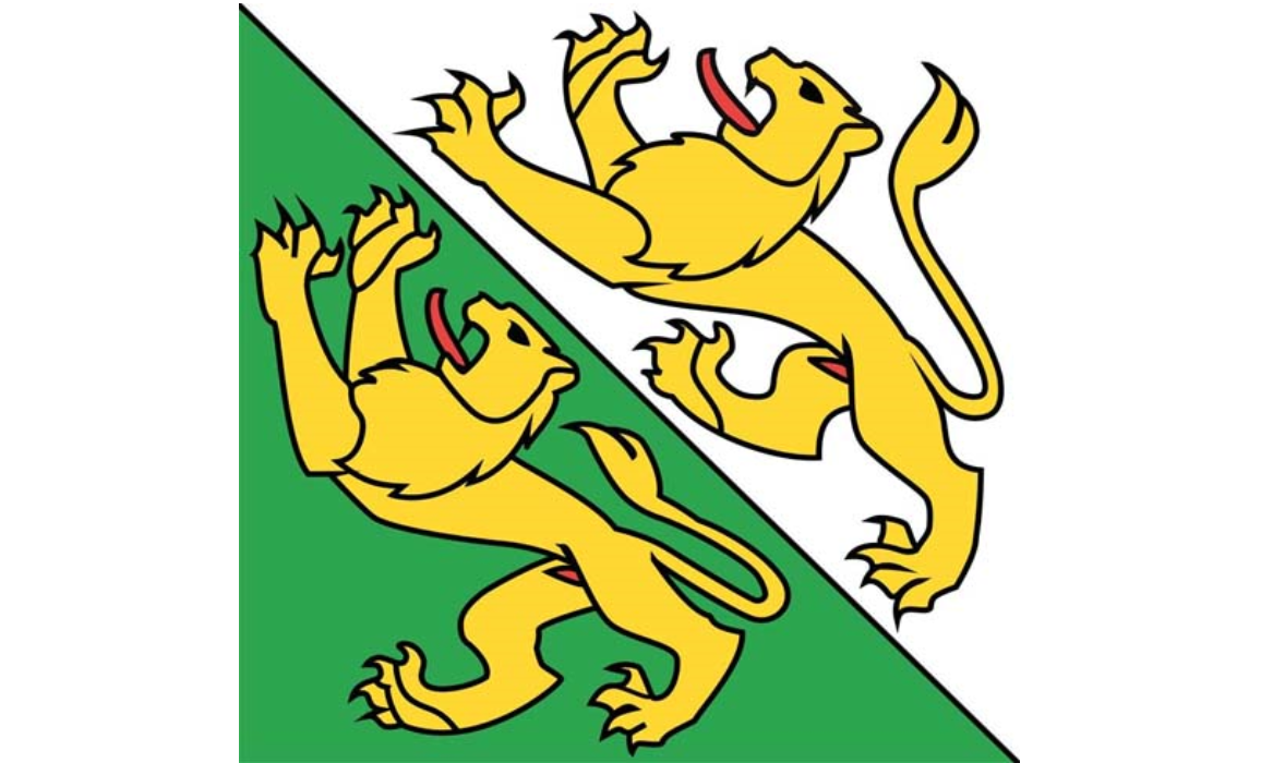 Kanton Thurgau Fahne / Flagge 120x120 cm