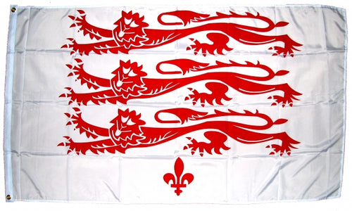 Dorset Fahne / Flagge 90x150 cm