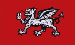 England weisser Drache Fahne / Flagge 90x150 cm