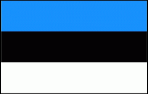 Estland Fahne / Flagge 90x150 cm