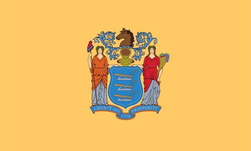 New Jersey Fahne / Flagge 90x150 cm