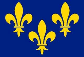 Fleur de Lis Fahne / Flagge 90x150 cm