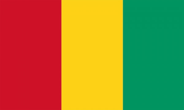 Guinea Fahne / Flagge 90x150 cm
