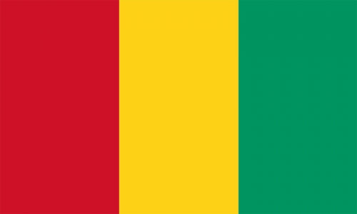 Guinea Fahne / Flagge 90x150 cm