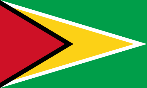 Guyana Fahne / Flagge 90x150 cm