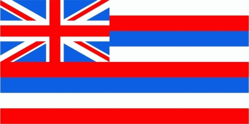 Hawaii Fahne / Flagge 90x150 cm