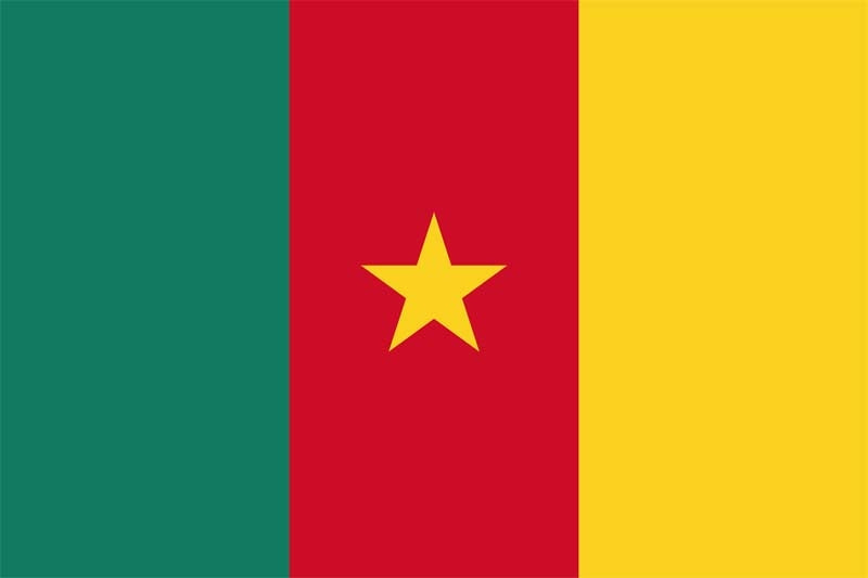 Kamerun Fahne / Flagge 90x150 cm