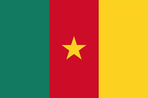 Kamerun Fahne / Flagge 90x150 cm