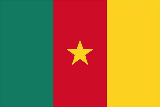 Kamerun Fahne / Flagge 90x150 cm