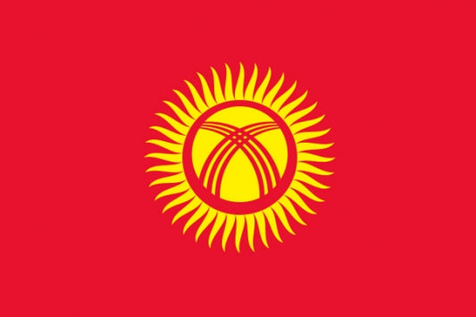 Kirgisistan Fahne / Flagge 90x150 cm
