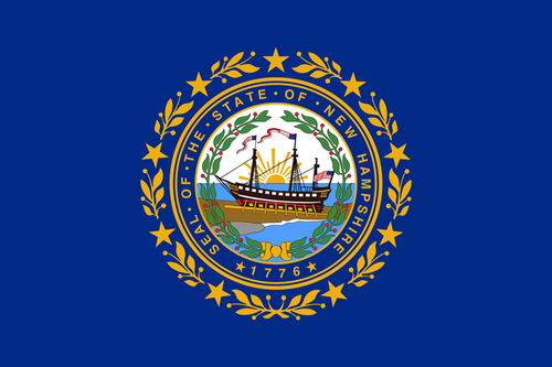 New Hampshire Fahne / Flagge 90x150 cm