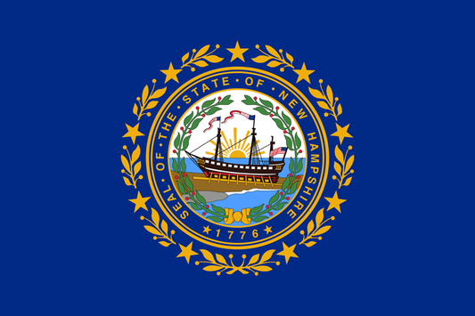 New Hampshire Fahne / Flagge 90x150 cm
