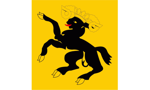 Kanton Schaffhausen Fahne / Flagge 120x120 cm
