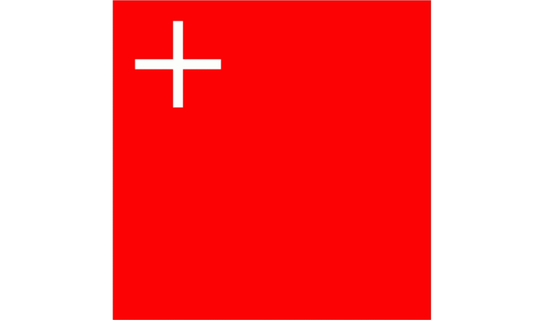 Kanton Schwyz Fahne / Flagge 120x120 cm
