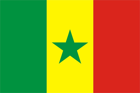 Senegal Fahne / Flagge 90x150 cm