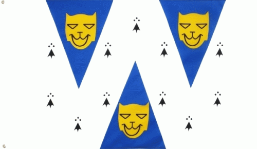 Shropshire Fahne / Flagge 90x150 cm