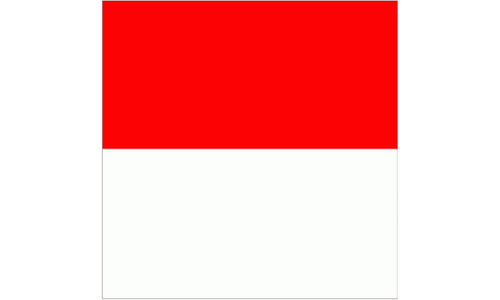 Kanton Solothurn Fahne / Flagge 120x120 cm