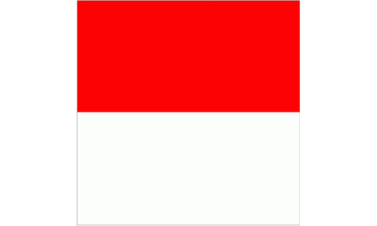 Kanton Solothurn Fahne / Flagge 120x120 cm