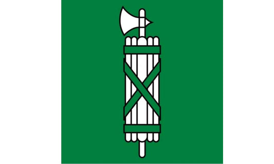 Kanton St. Gallen Fahne / Flagge 120x120 cm