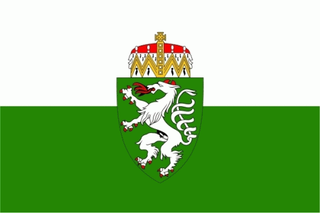 Steiermark Fahne / Flagge 90x150 cm