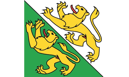 Kanton Thurgau Fahne / Flagge 120x120 cm