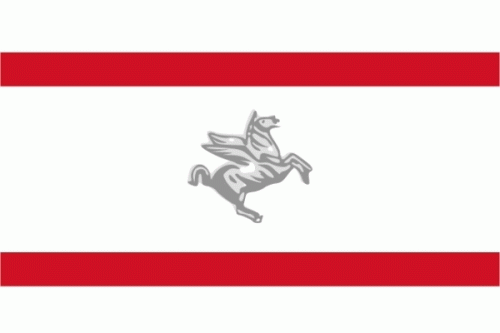 Toskana/Toscana Fahne / Flagge 90x150 cm