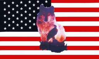 USA mit Wolf und Adler Fahne / Flagge 90x150 cm
