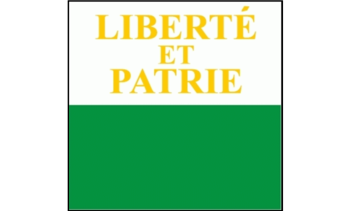 Kanton Waadt Fahne / Flagge 120x120 cm
