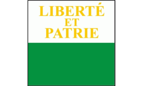 Kanton Waadt Fahne / Flagge 120x120 cm