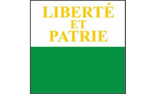 Kanton Waadt Fahne / Flagge 120x120 cm